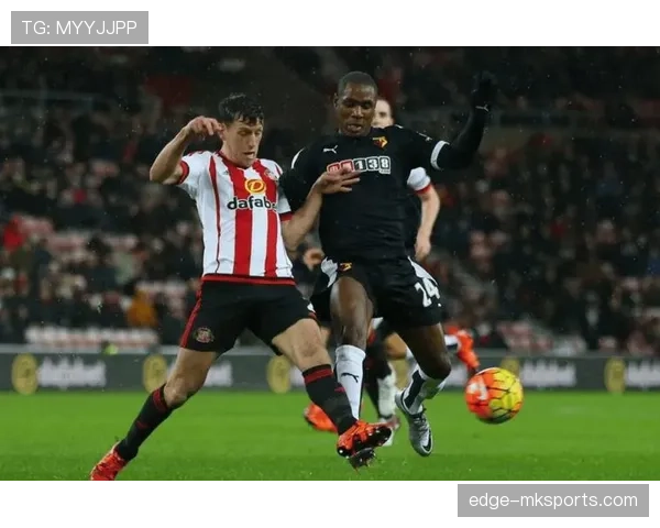 桑德兰主帅人选引热议，多位名帅进入视野，球队未来可期