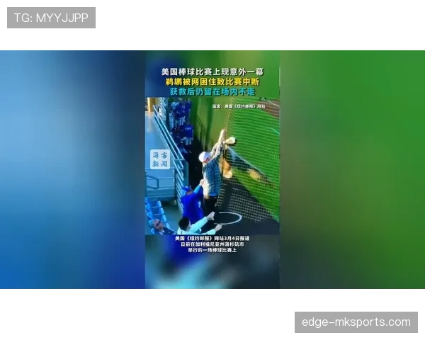 比赛中断后为何要坠球?规则如何判定重新开球方式 比赛中断后为何要坠球?规则如何判定重新开球方式